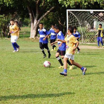 Estão previstos a realização de 68 jogos no decorrer do campeonato.