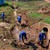 O trabalho de limpeza também evita a poluição dos rios que banham a cidade