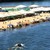 20130729-173412_5929.jpg