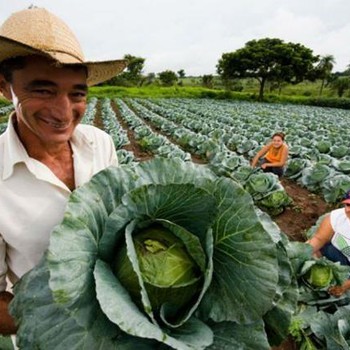 Encontro é voltado para 11 municípios tocantinenses