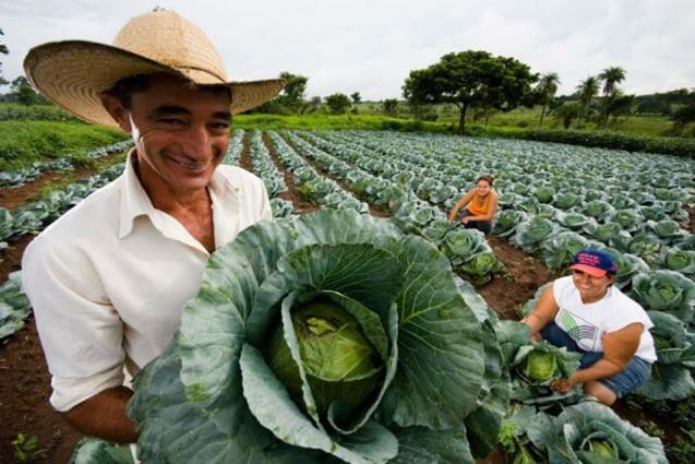 Encontro é voltado para 11 municípios tocantinenses