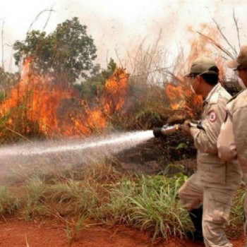 Até esta quarta-feira, 20, foram registrados em Lagoa da Confusão, Formoso do Araguaia e Mateiros, 437, 379 e 267 focos de calor