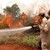 Até esta quarta-feira, 20, foram registrados em Lagoa da Confusão, Formoso do Araguaia e Mateiros, 437, 379 e 267 focos de calor
