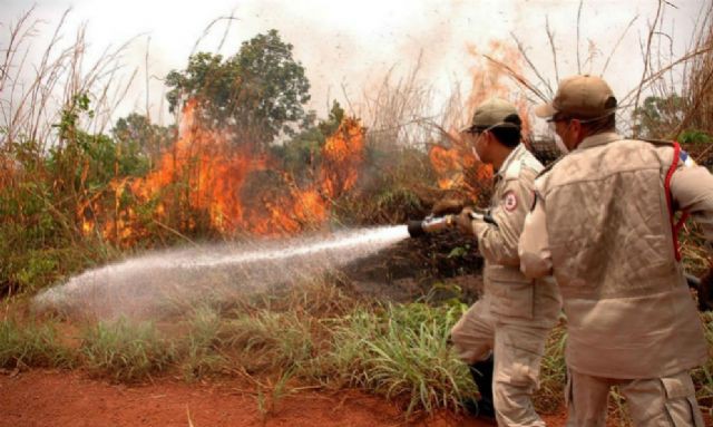 Até esta quarta-feira, 20, foram registrados em Lagoa da Confusão, Formoso do Araguaia e Mateiros, 437, 379 e 267 focos de calor