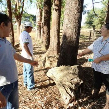 Durante as vistorias, comunidade rural também é orientada